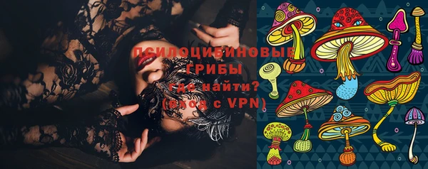 гидропоника Армянск